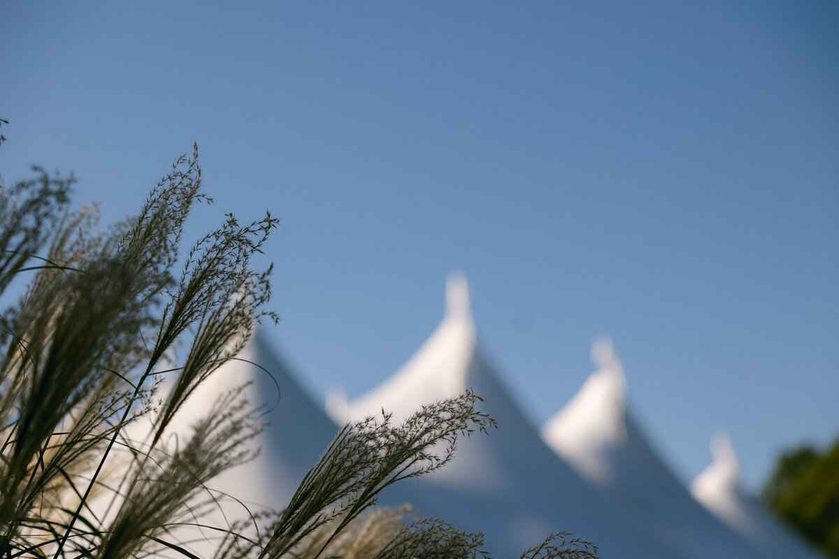 st michaels wedding carter rose-0039