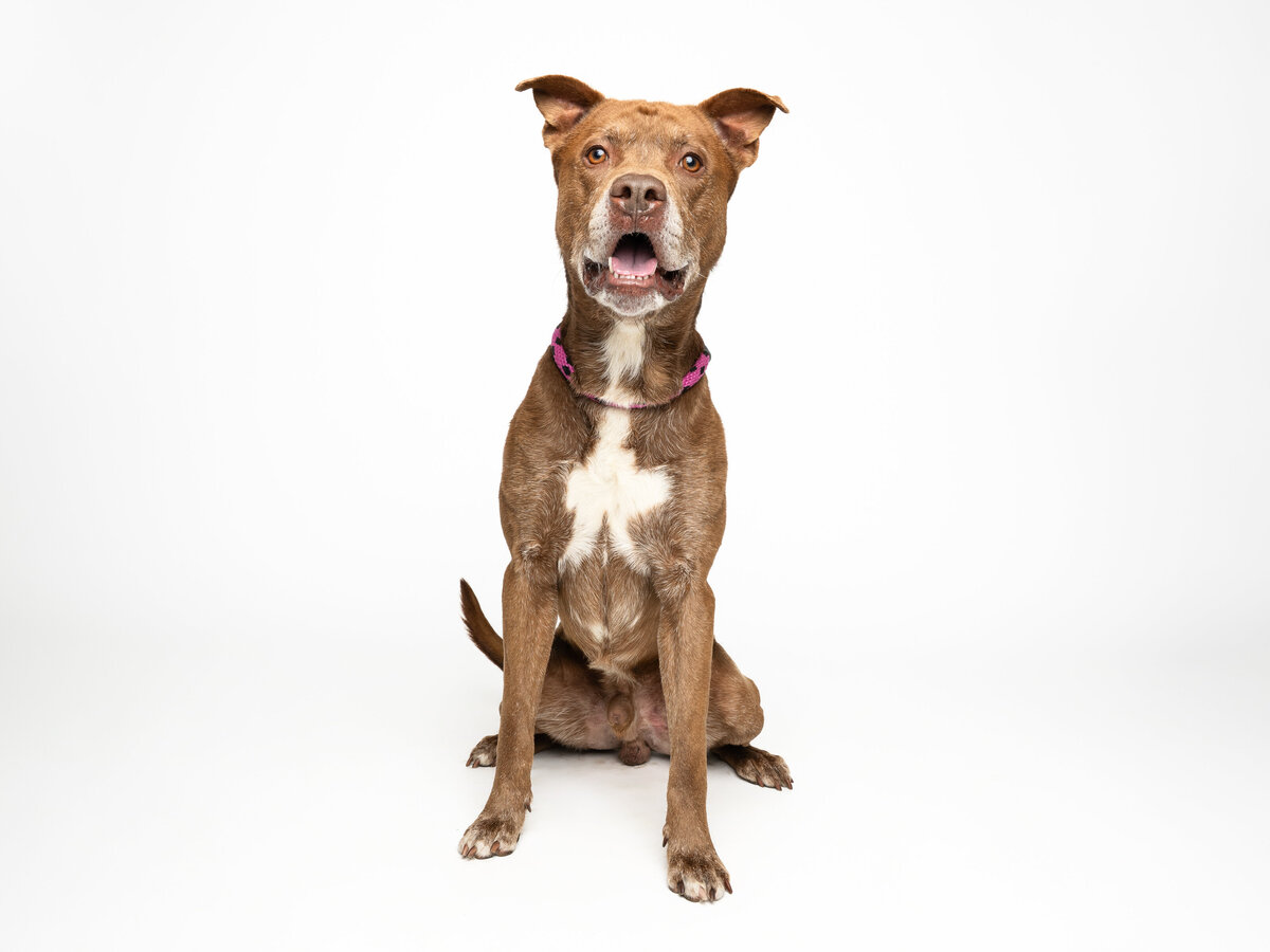 Website3500-DSC01849