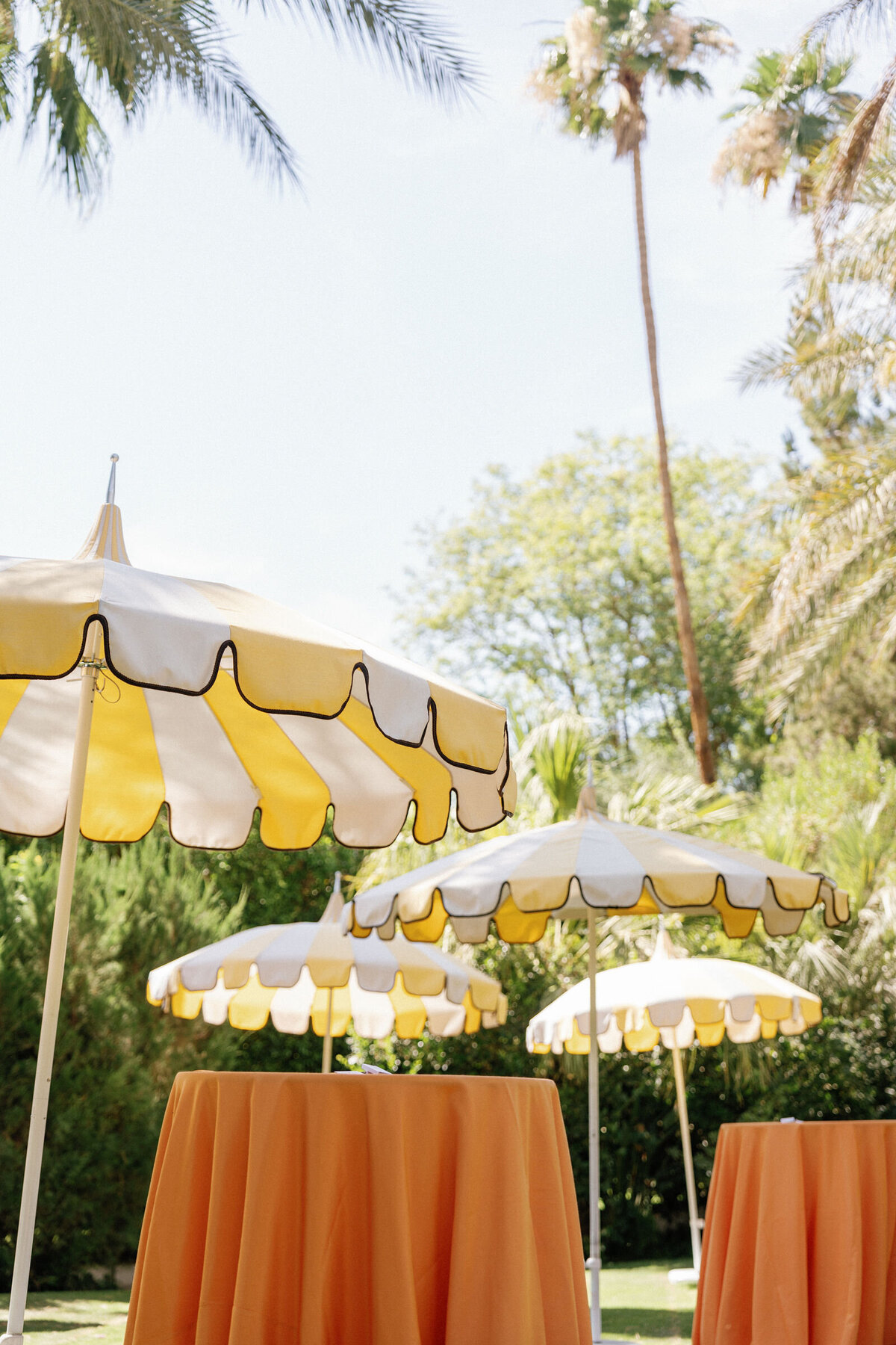 Olivia-Marshall-Palm-Springs-39
