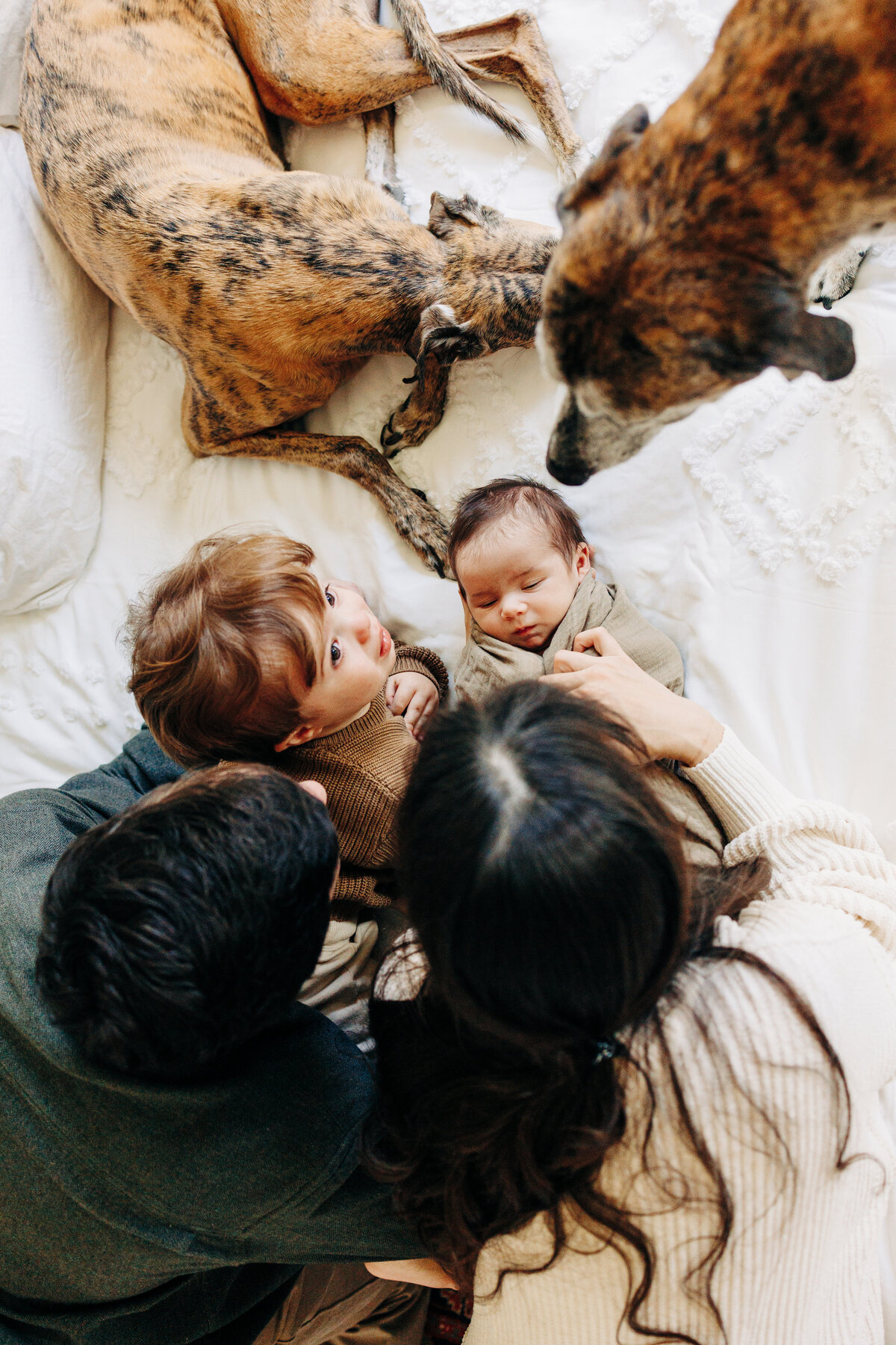 houston-newborn-photographer-24324-66