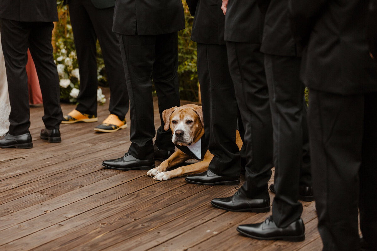 vail_wedding_photographer_denver_colorado_piney_river_ranch_july-252
