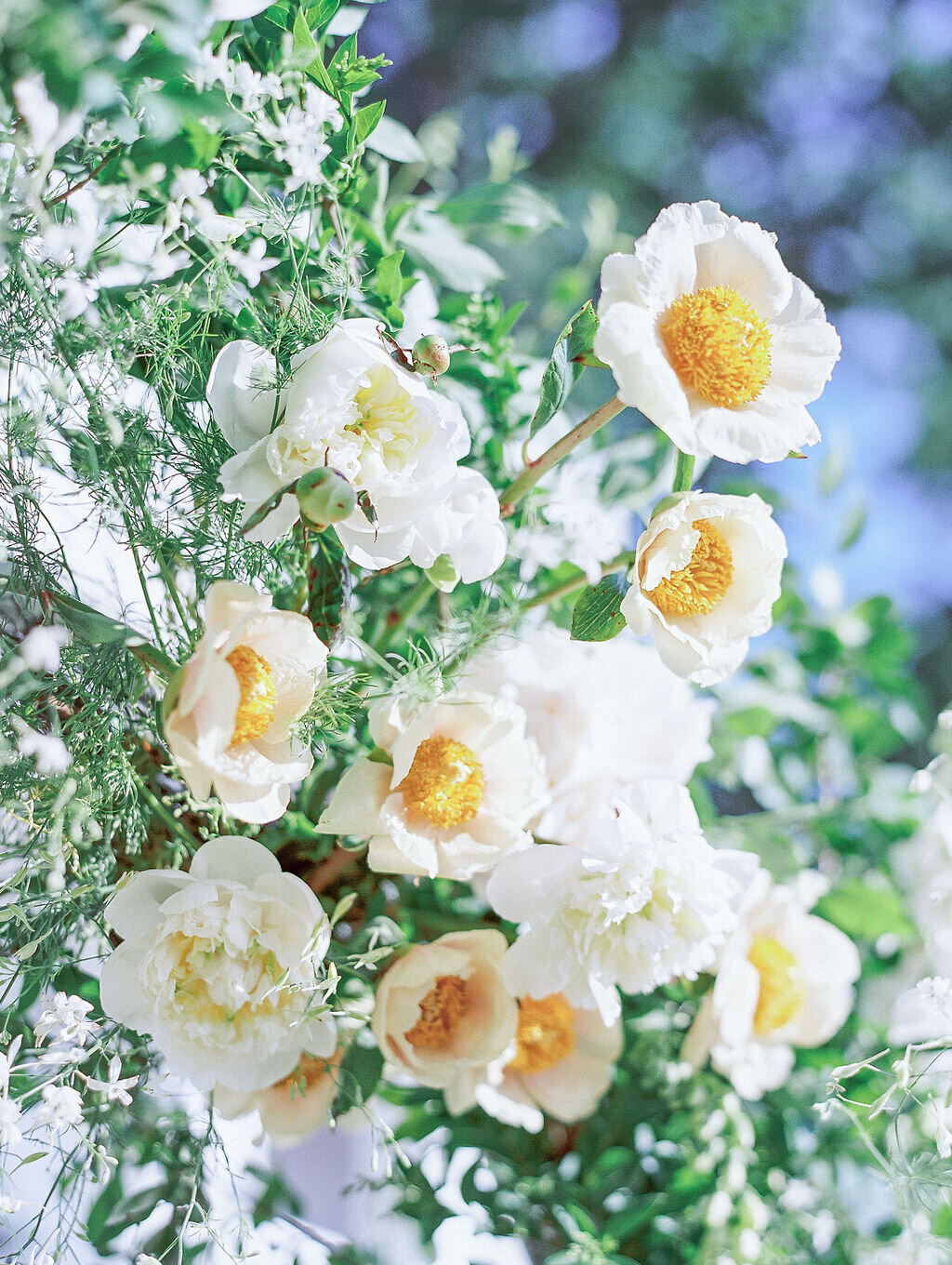 KatieTraufferPhotography-MaggieandNicoWedding-470
