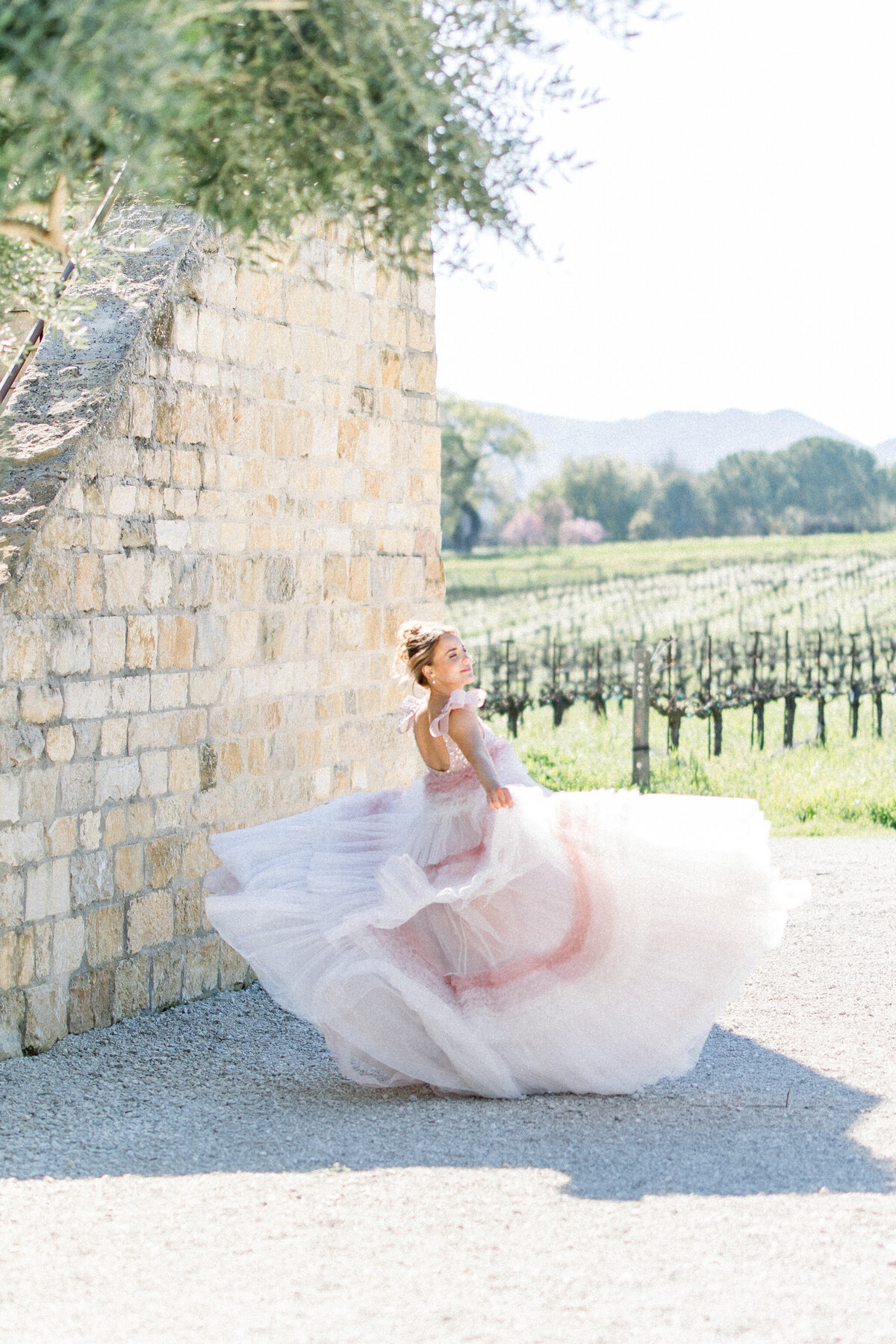 Columbus Ohio Wedding Photographer