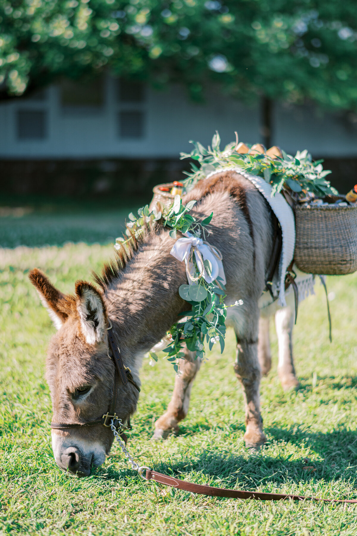 Dallas Wedding Photographer-104