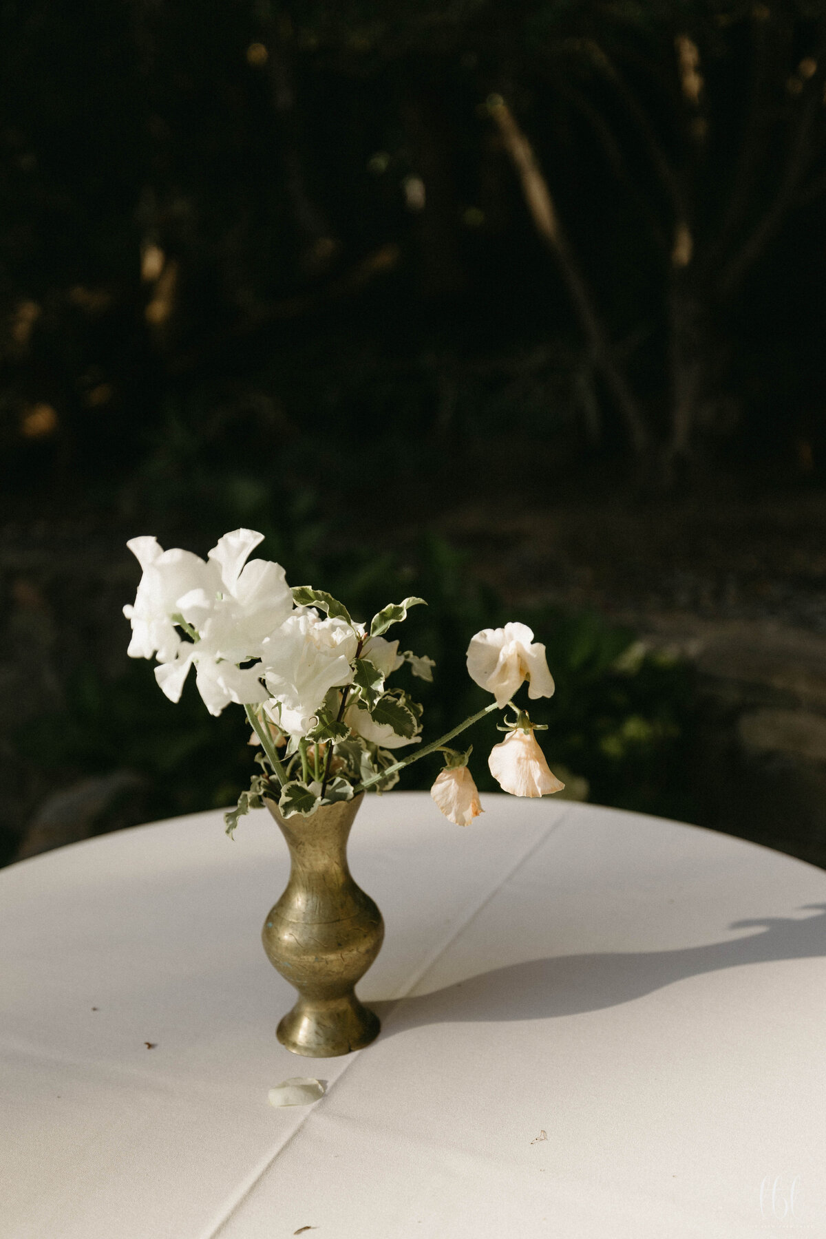 FayeFernCreative-CalamigosRanch-Wedding-WelcomeParty-AM-28
