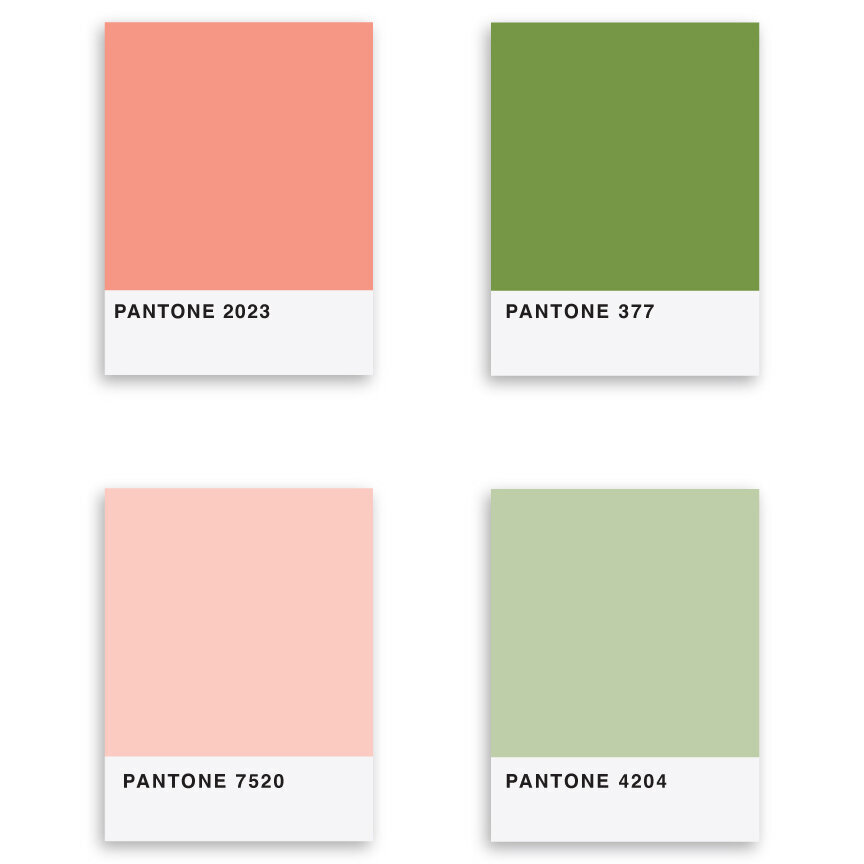 Chic-Coral-Green-Palette