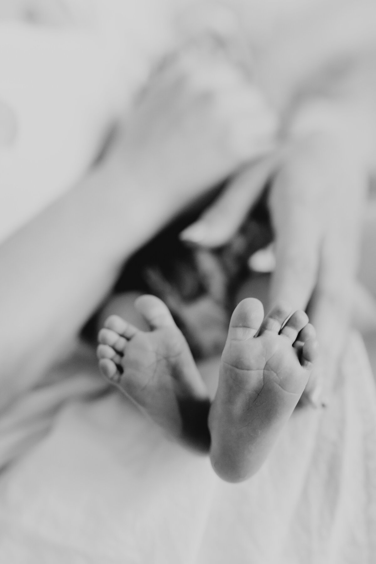 family photography