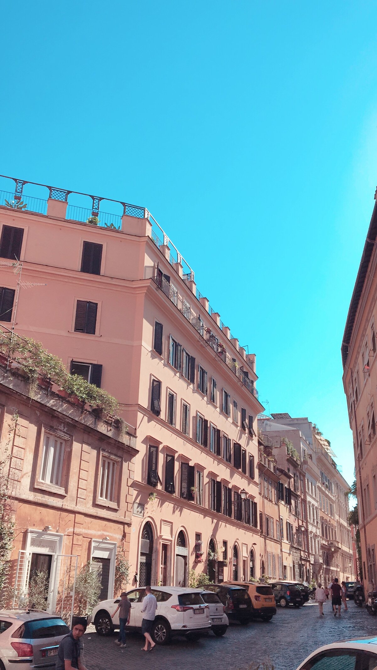 Rome Pink Building Architecture Photo