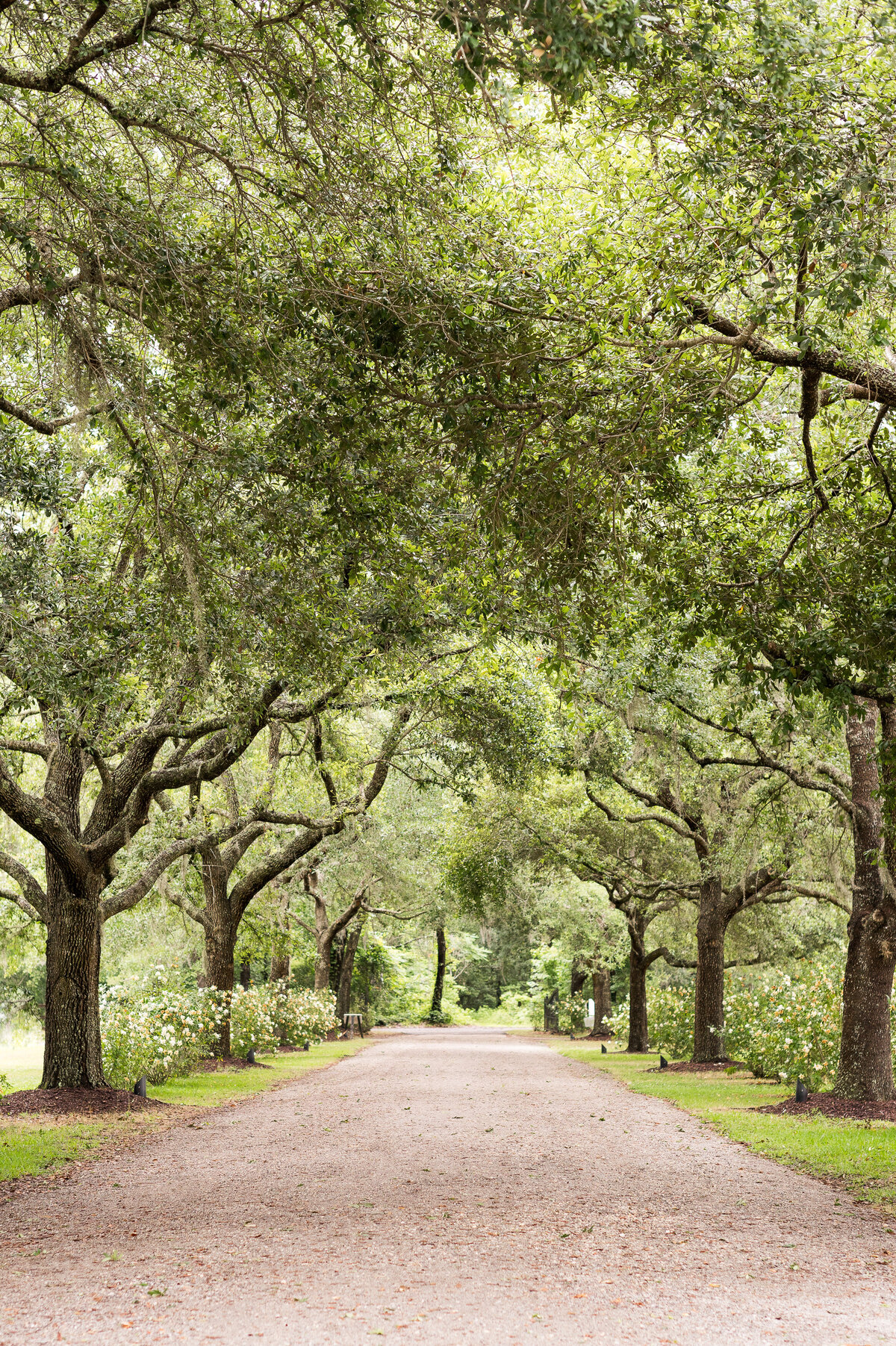 Old Wide Awake Wedding Photographer Kendra Martin PHotography-841