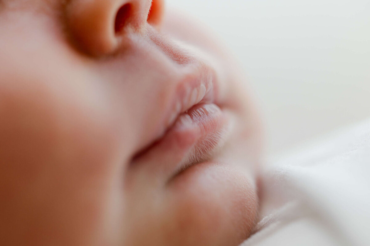 Baby wrapped in neutral swaddle, captured by San Francisco Bay Area newborn photographer.