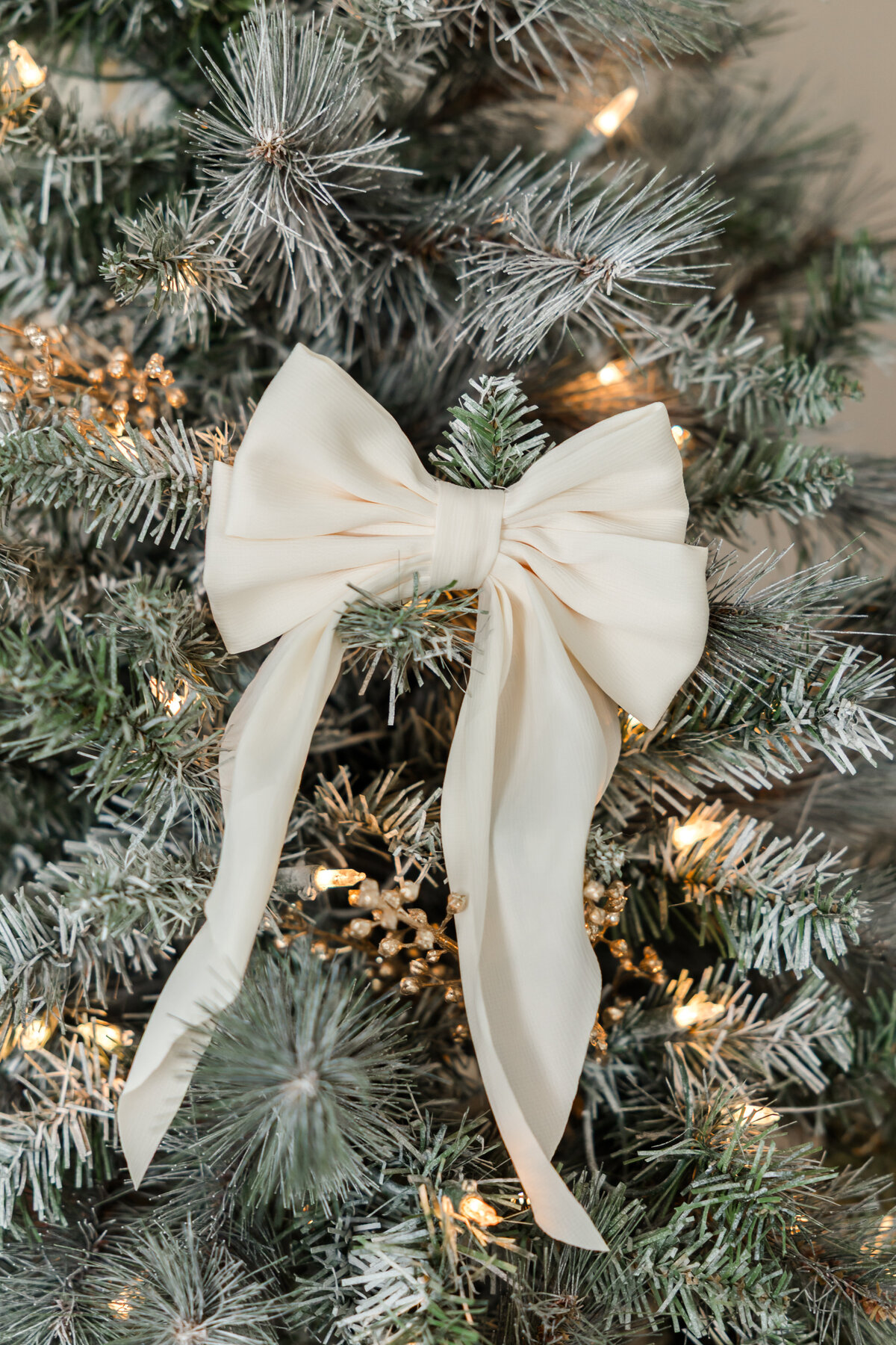 Christmas at EP_2025_067