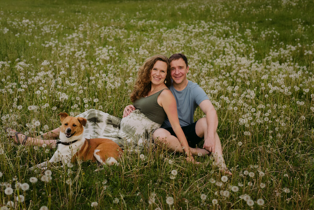 pregnant woman with her husband and dog in a field of dandelions