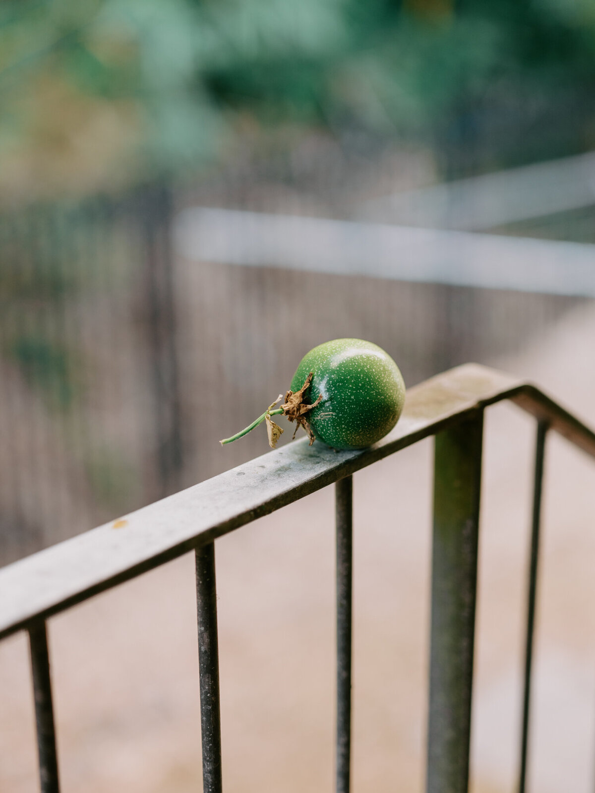 Minna_Sam_Newborn_Shoot_WEB-147