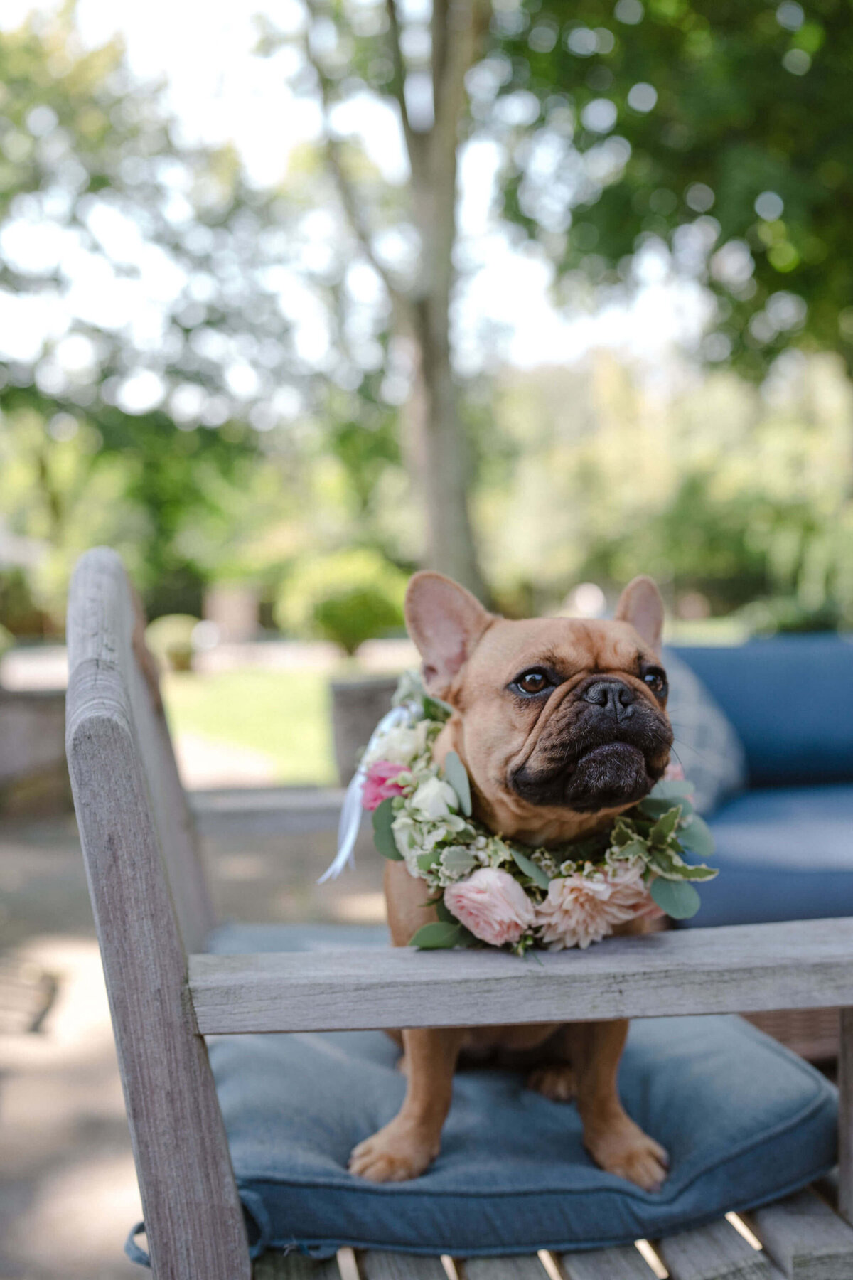 01-Beach-Tented-Wedding-Country-Club-of-Fairfield-Connecticut-Wedding-Planner-Mary-Thornton-Events