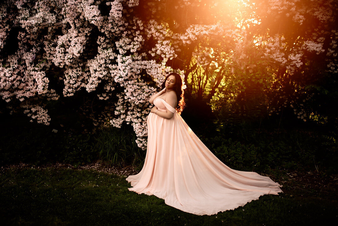 Grand Rapids Maternity Photography With Flower Tree by For The Love Of Photography