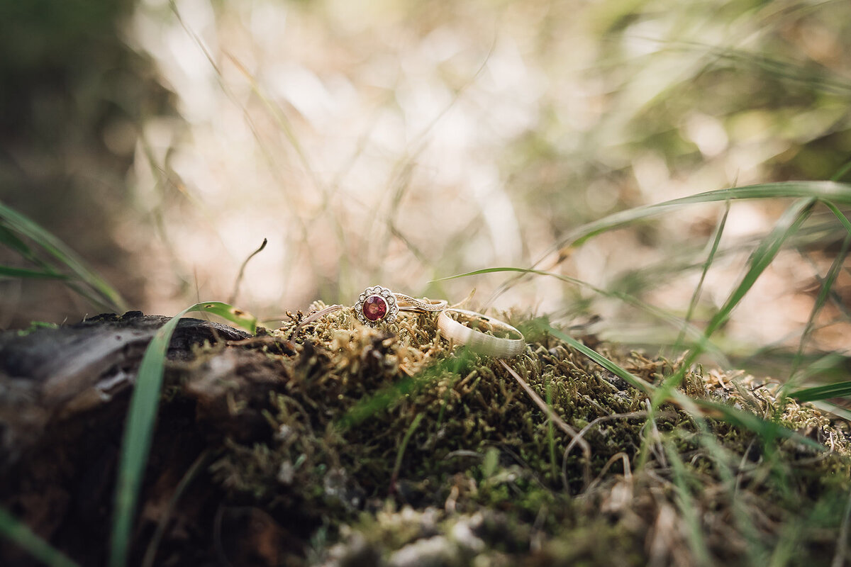 Penticton Okanagan British Columbia Wedding Photographer 37