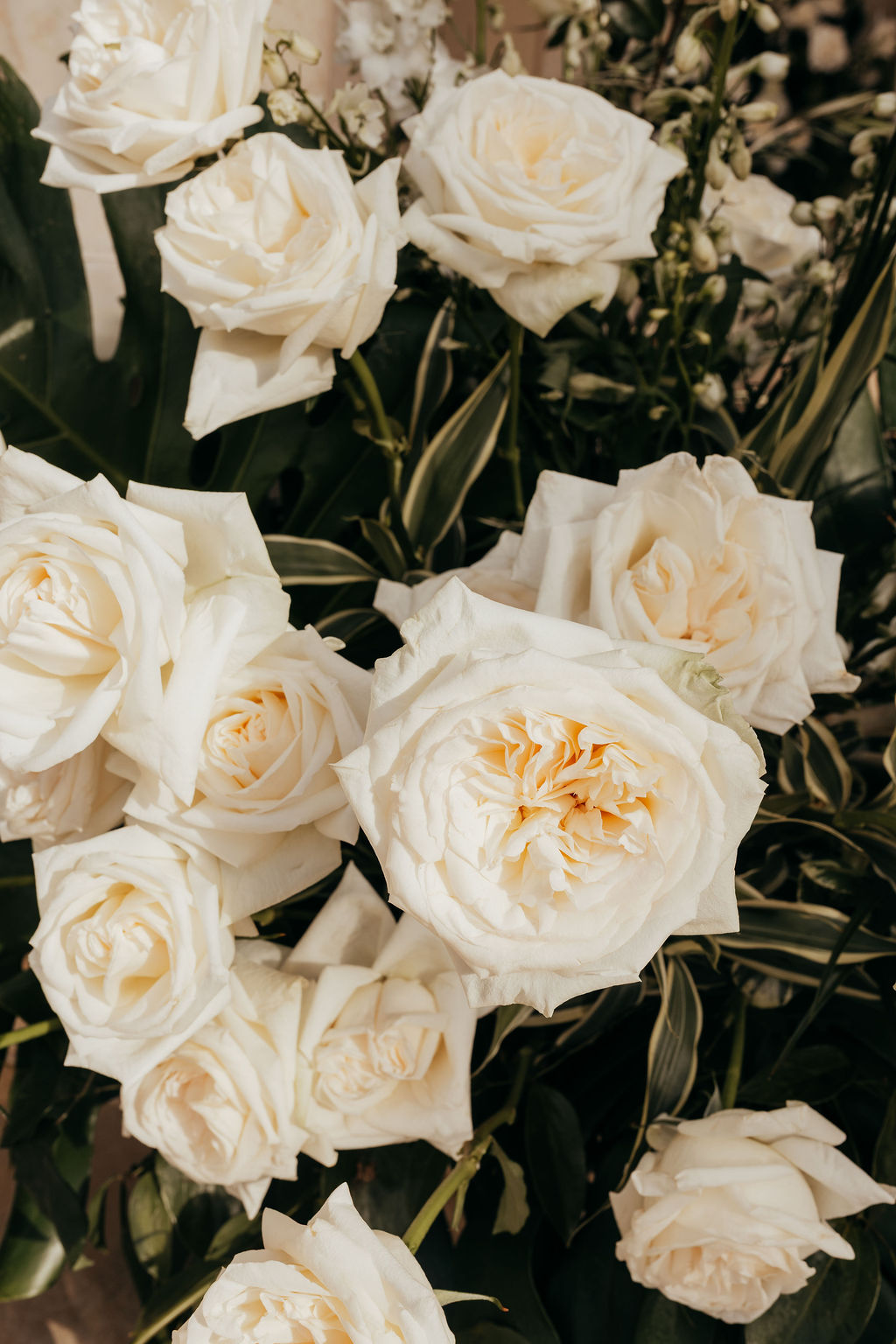 villa-la-joya-wedding-florist-TJ9A8965
