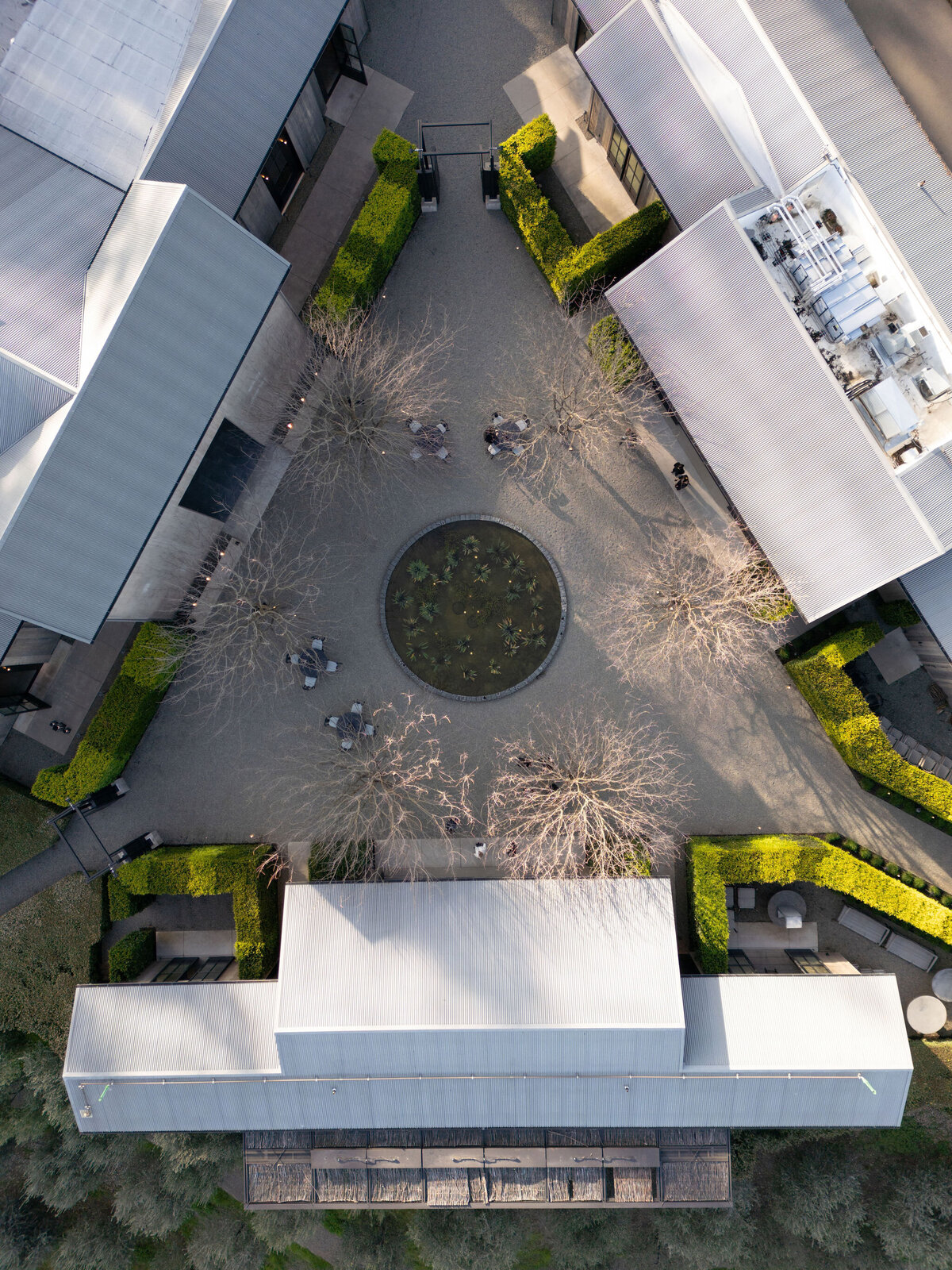 larissa-cleveland-photo-VCA-DJI_0267-1293