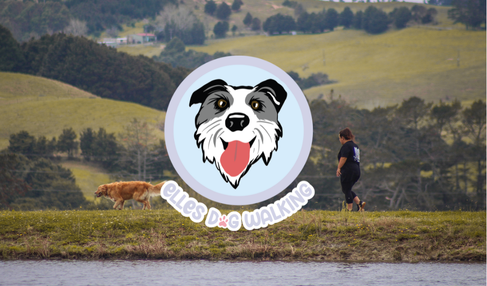 Elles Dog Walking Whangarei your dogs new best friend!