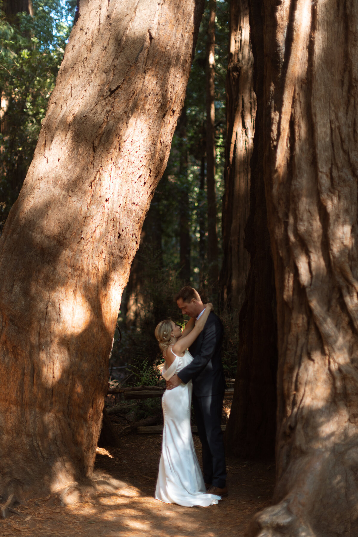 Henry-Cowell-Redwood-Forest-San-Jose-California-Rachel-Marie-Photography-8