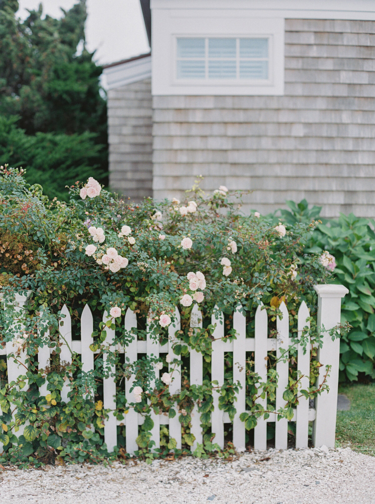 Emily March Photography Wilmington, North Carolina and Destination Wedding Engagement Photographer Heirloom Photography for Memorable Gatherings Light Airy Sentimental Imagery Images Weddings VaughanWedding_0254 copy