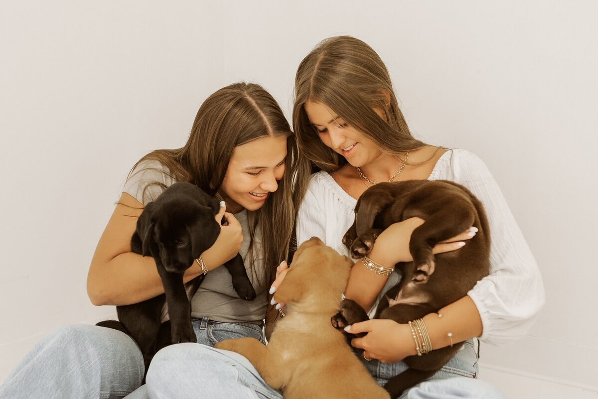 Tennessee-Dog-Labrador-Breeders (1)