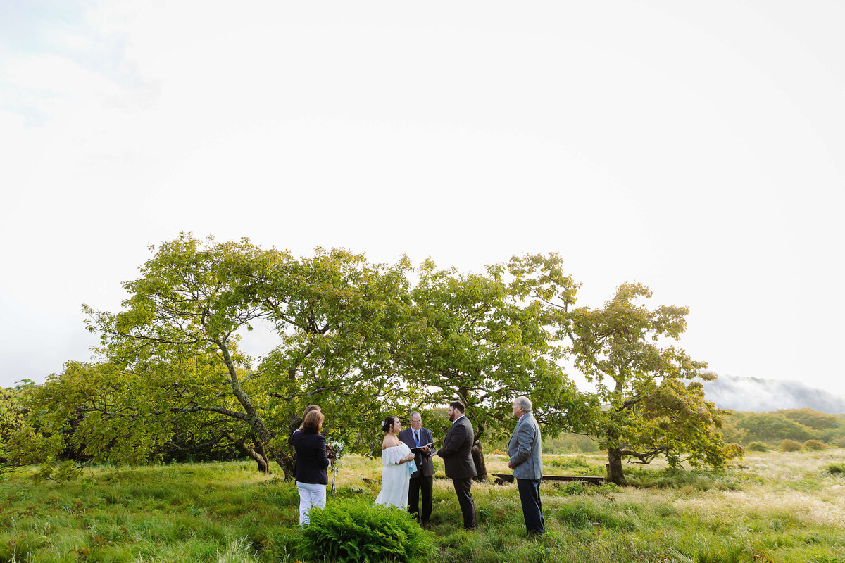 Craggy-Gardens-NC-Elopement-41