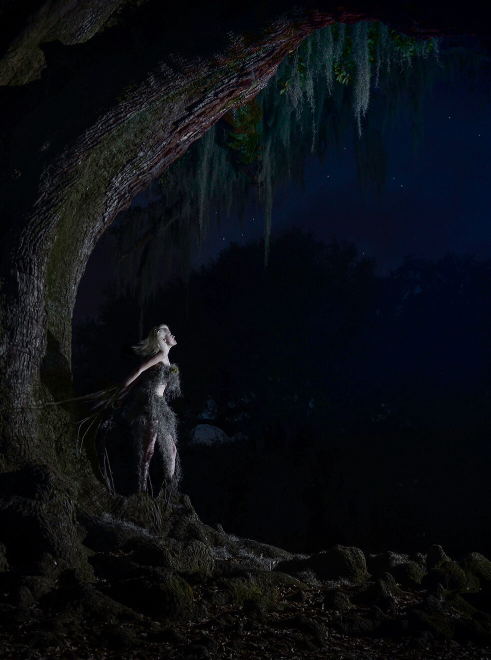Revelaire Fantasy 1