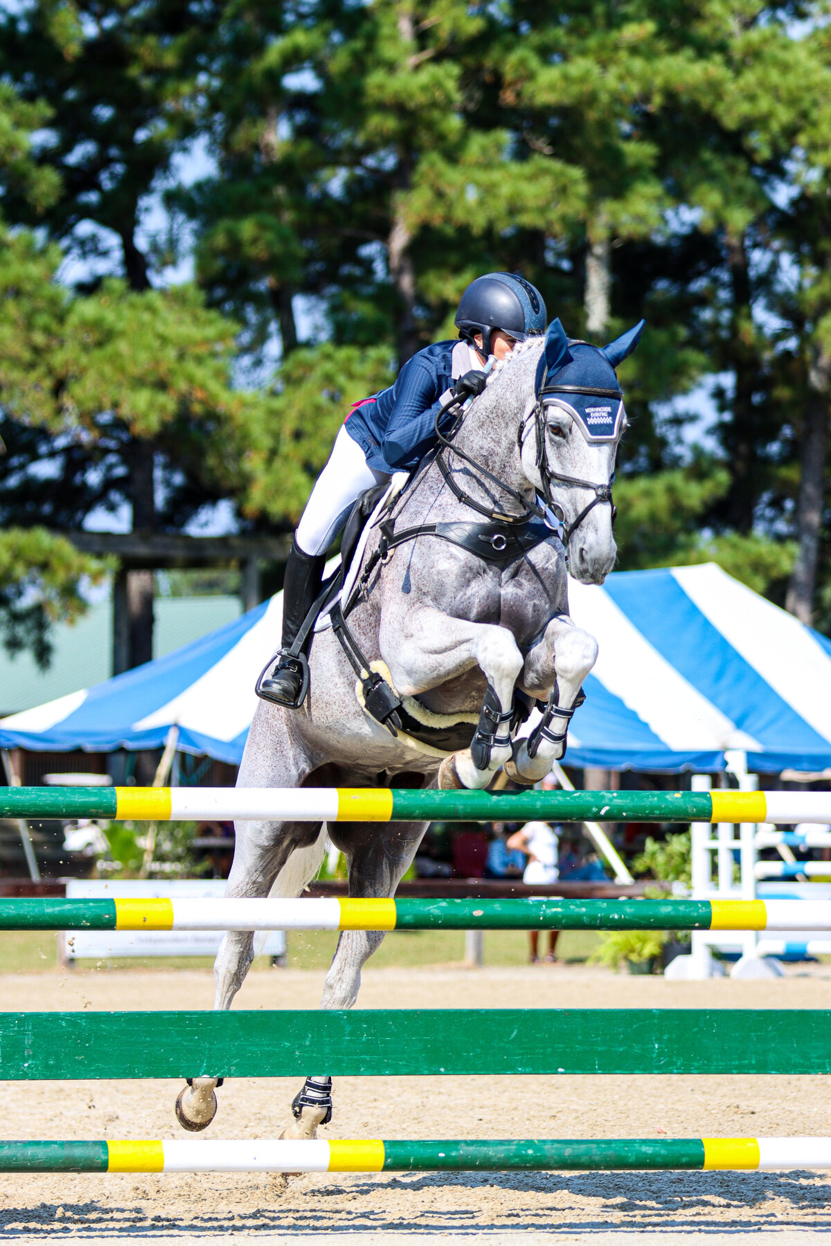 A grey horse jumping a green jump at an eventing show at the Carolina Horse Park in Raeford, North Carolina.