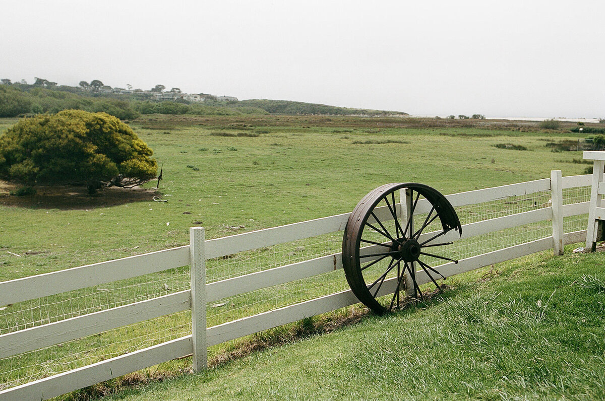Spring-wedding-in-carmel-california1