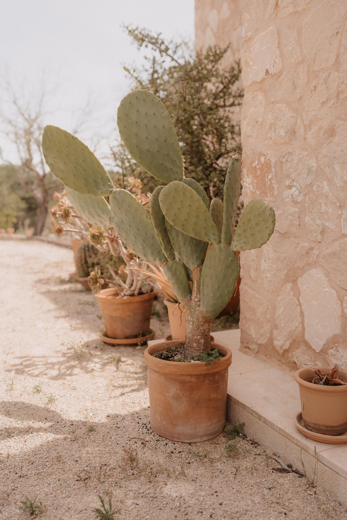Lisa Roeder Photography - Mallorca-08225