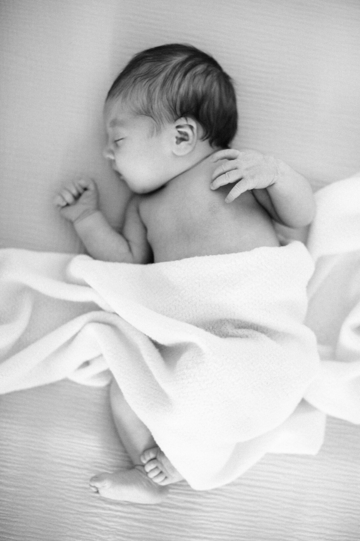 winston-salem-newborn-photographer6