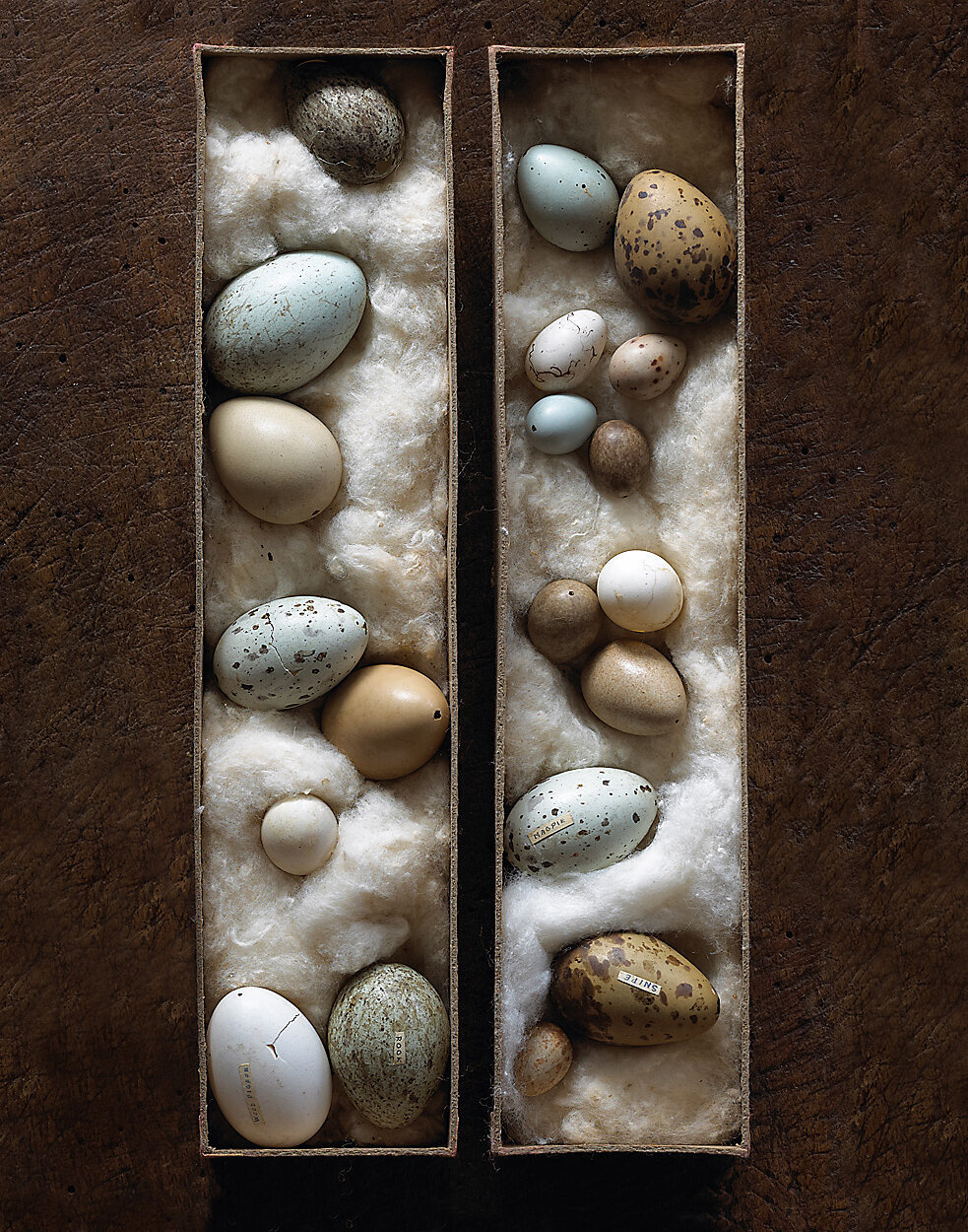 PORTFOLIO_031111_007 copy