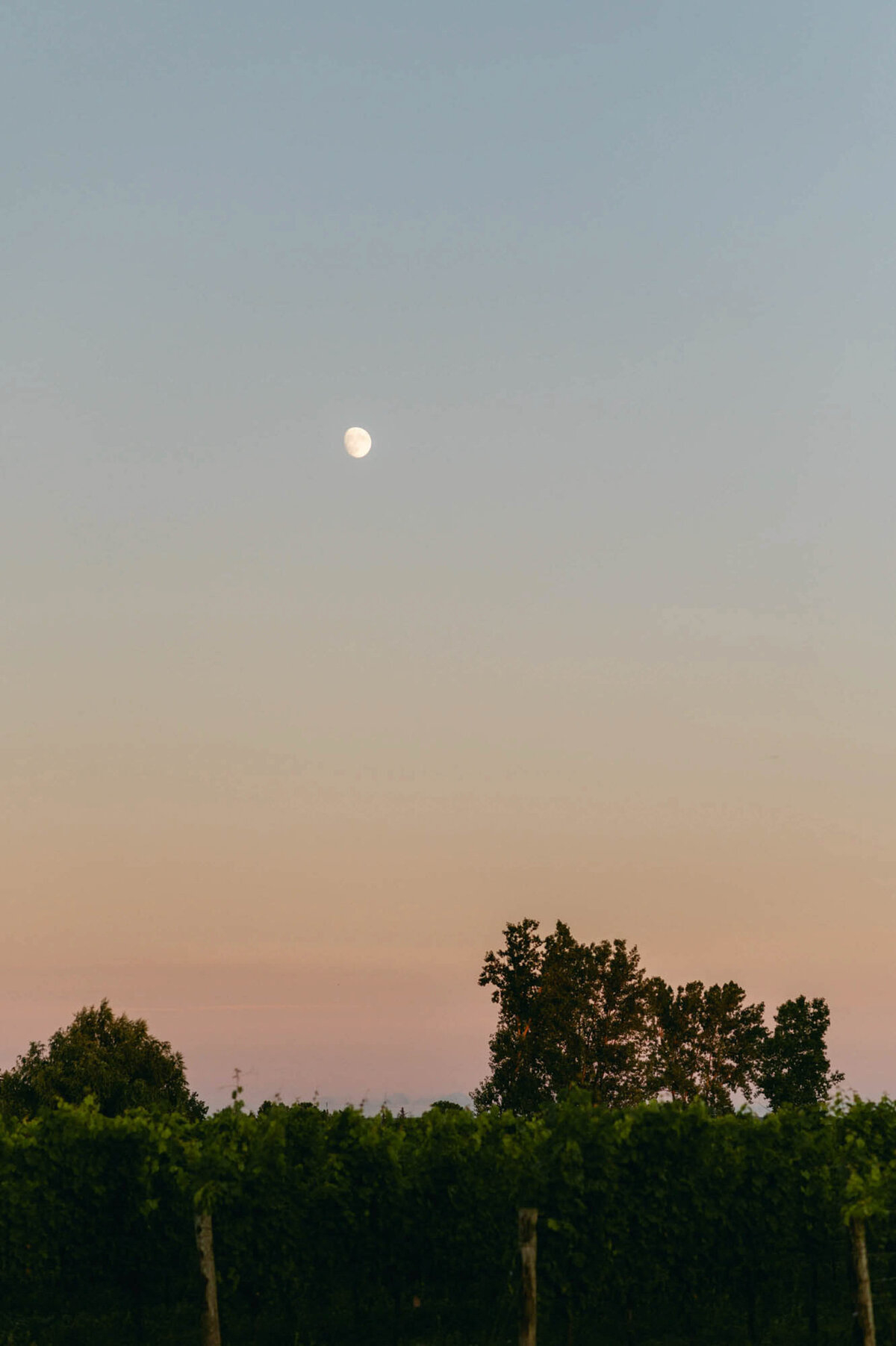 515-Pellar-Estates-Niagara-On-The-Lake-Ontario-Canada-Stephanie-Mitch-Marner-Wedding-66