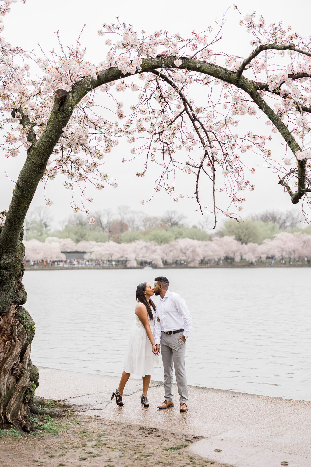 cherry-blossom-couple-photoshoot-tidal-basin-washington-monument-22