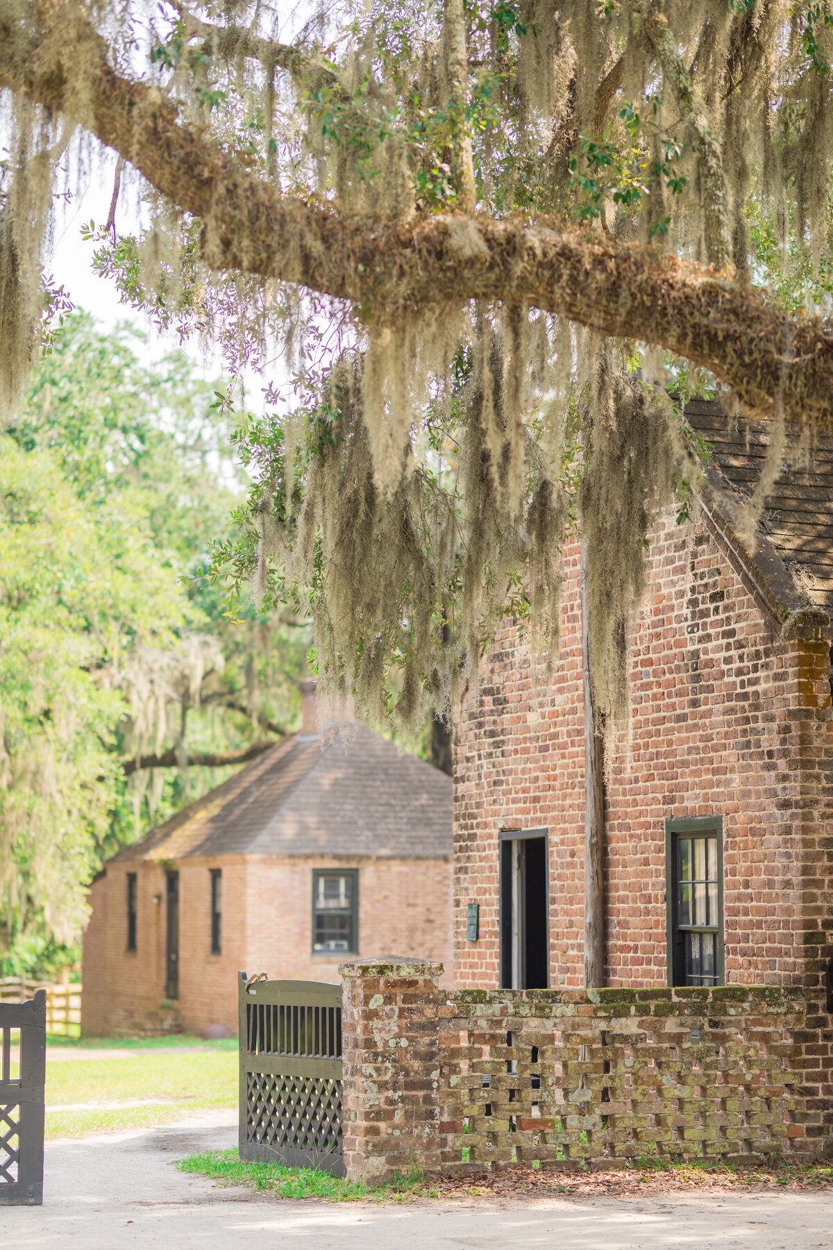 Charleston_wedding_photographer_Middleton_Jodi_Gray-1