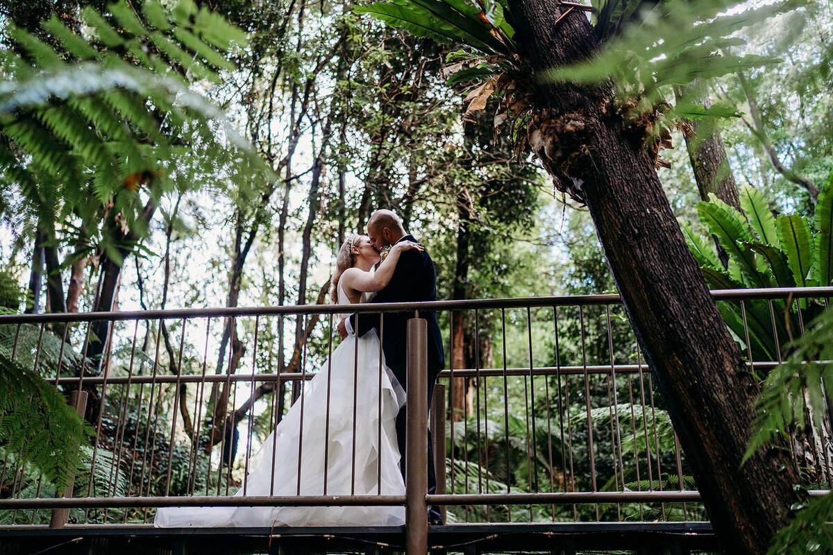 Margan_Photography_Australian_National_Botanic_Gardens-89