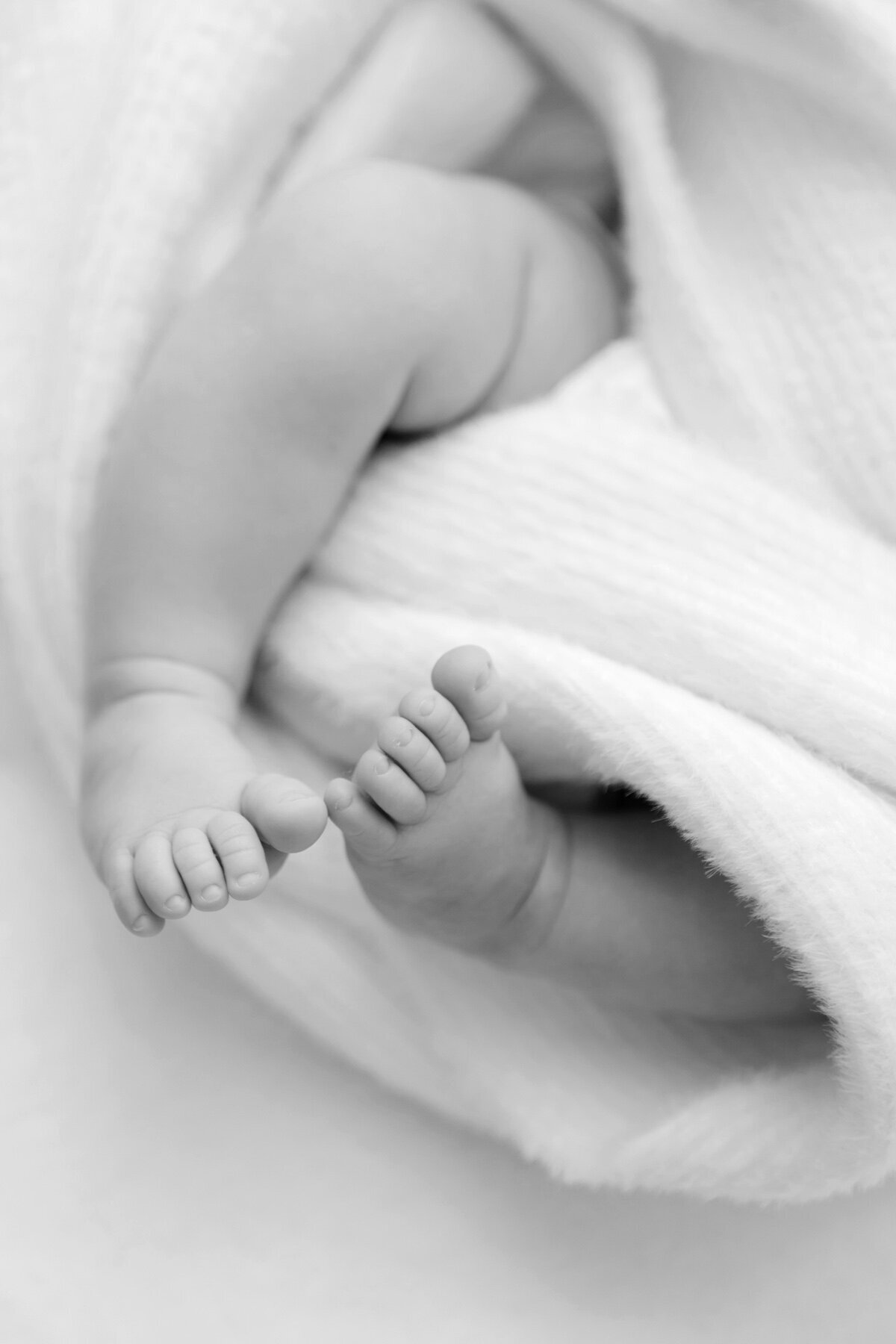 Raleigh-Newborn-Photography 016
