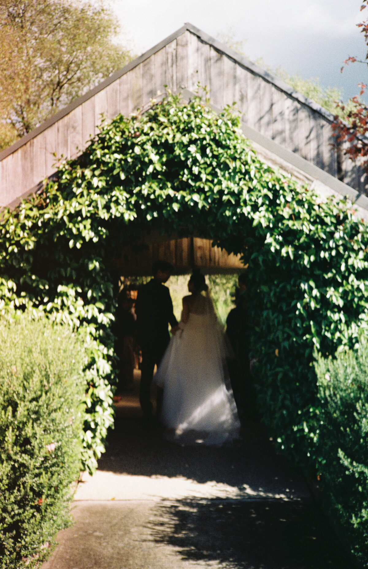 wedding 35mm film photography yarra valley