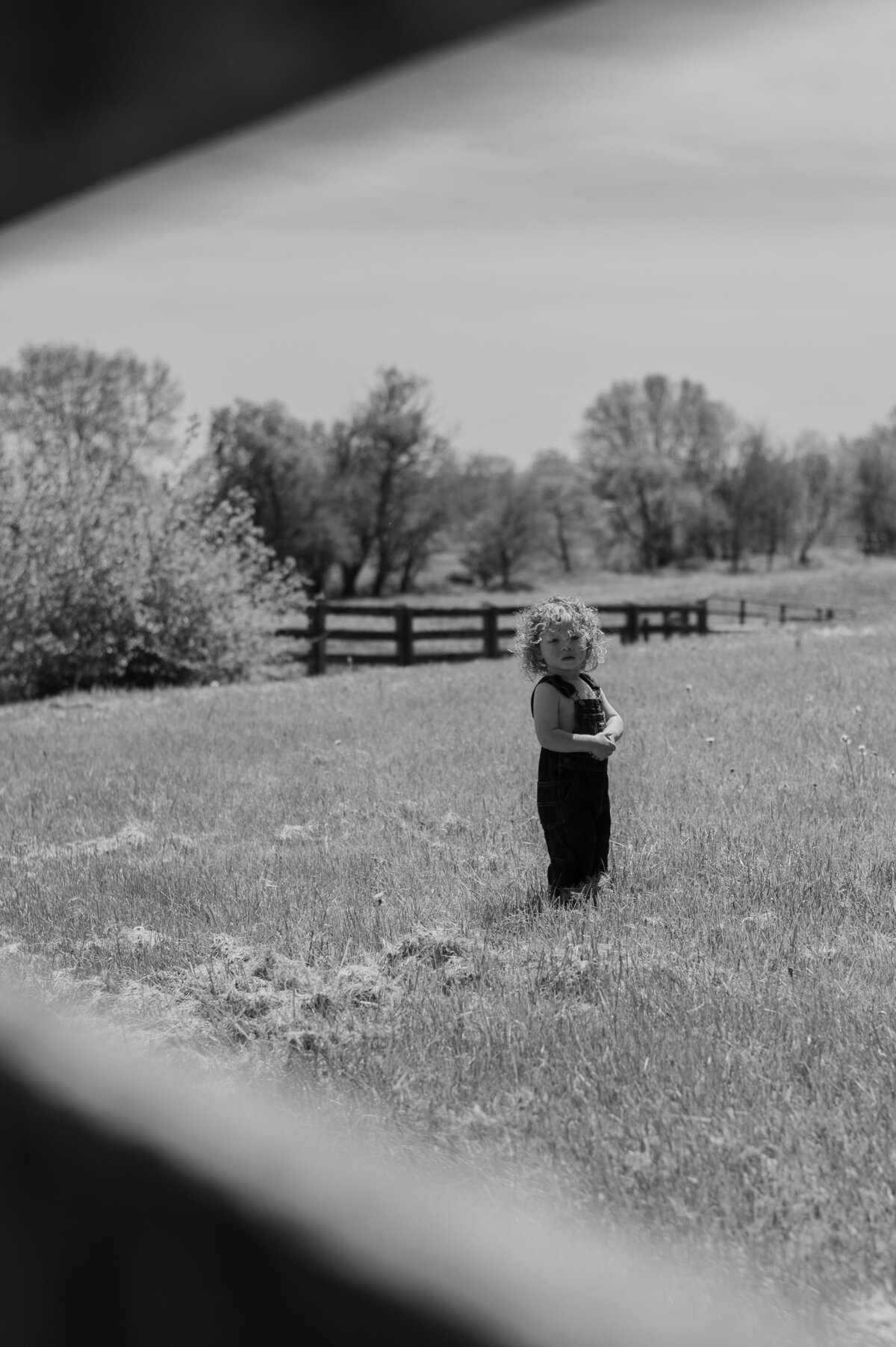 Daisy & Liam_2025_031