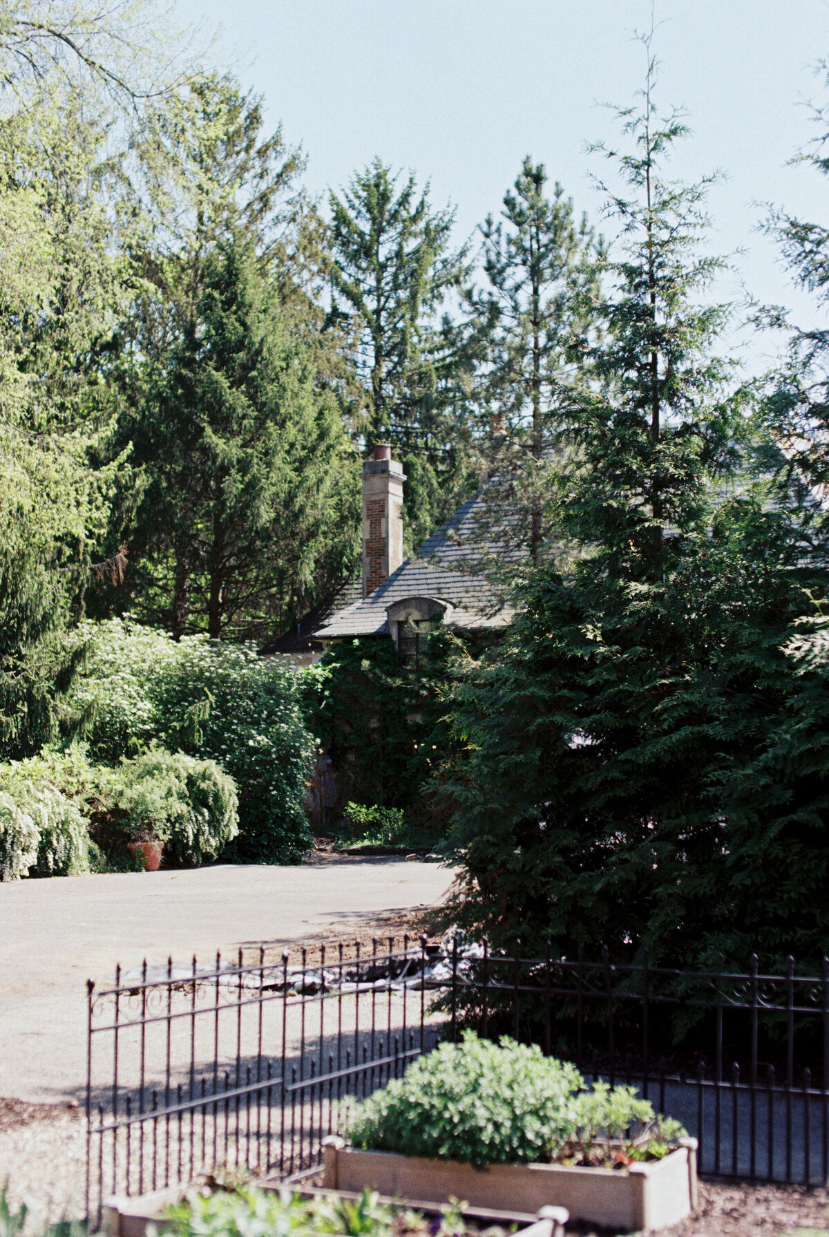 Maria + Grant + Truvision Studios 196