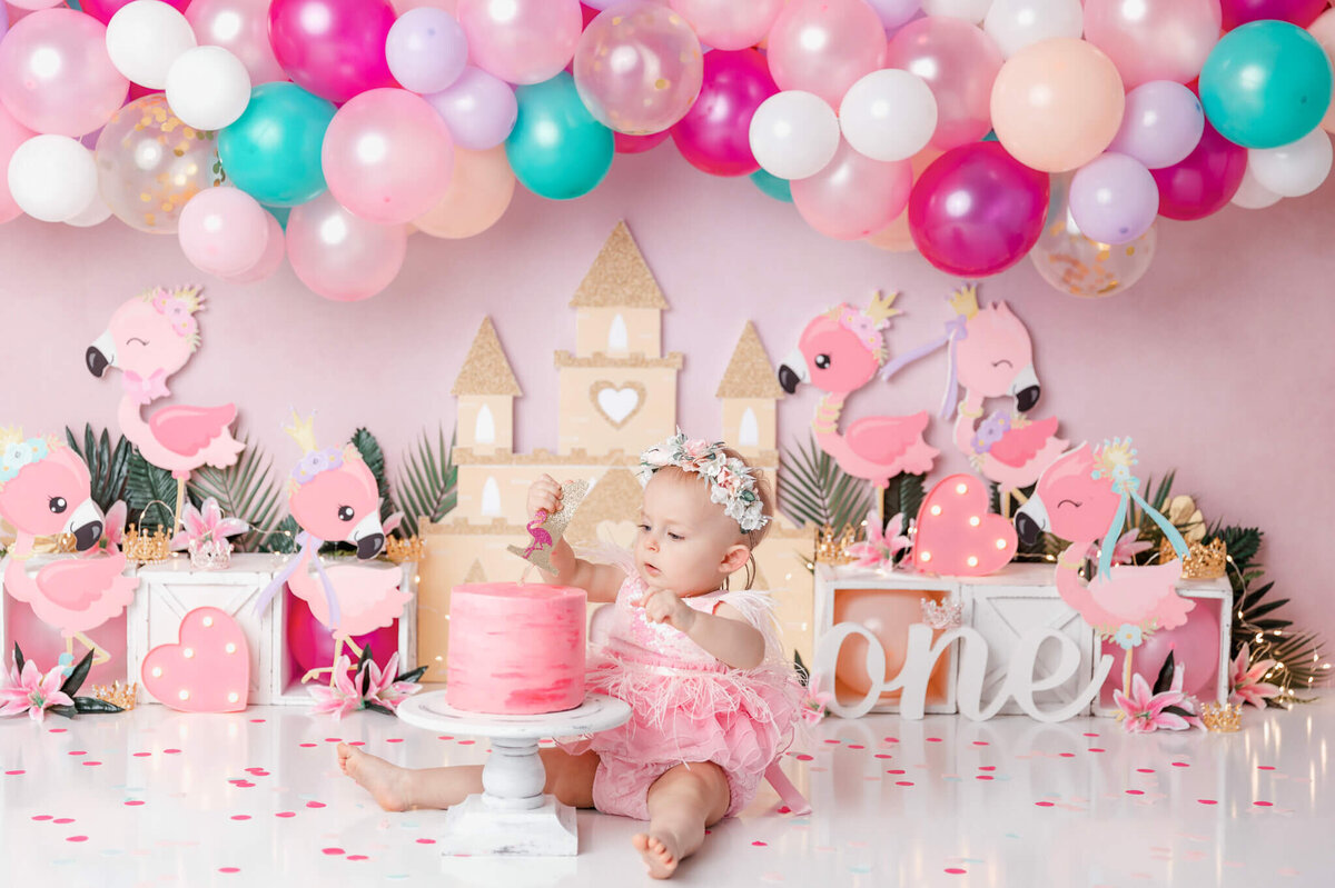 new-jersey-smash-cake-photographer-45