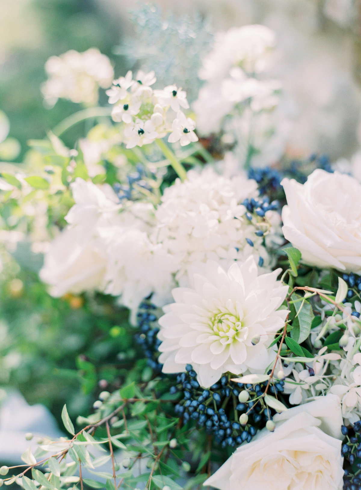 RominaSchischkePhotography-IntimateElopementUrbinoImage00054