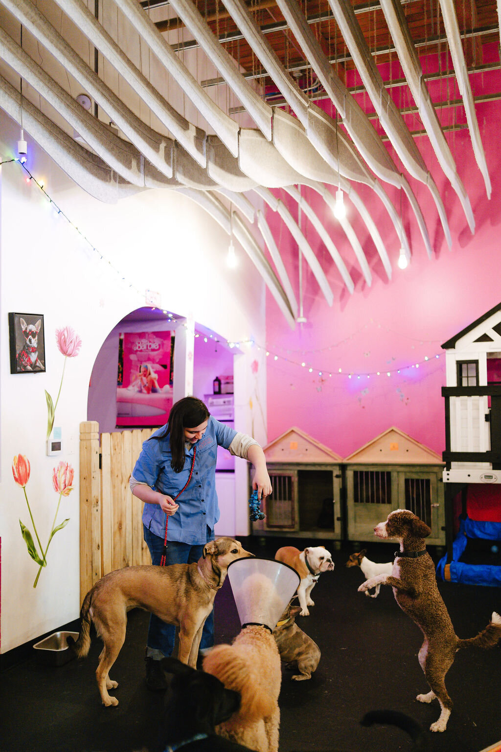 05.14hillfamilypetcare-58