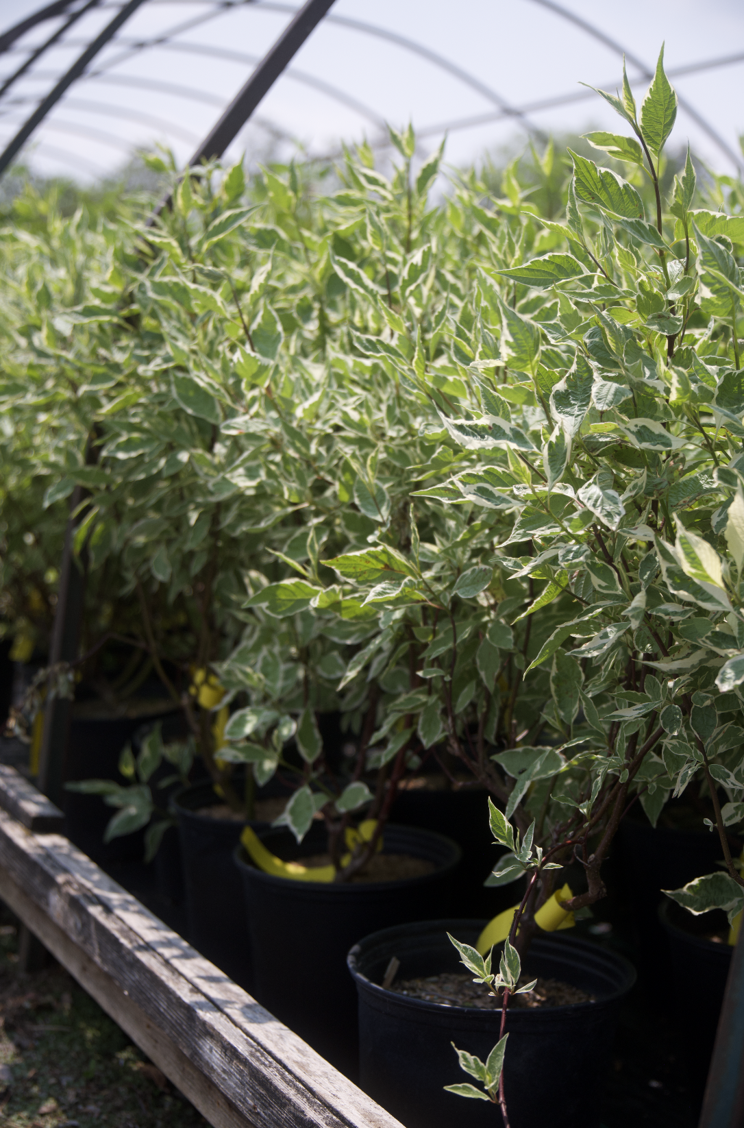 Screenshot 2025-07-18 at 8.07.19 AM