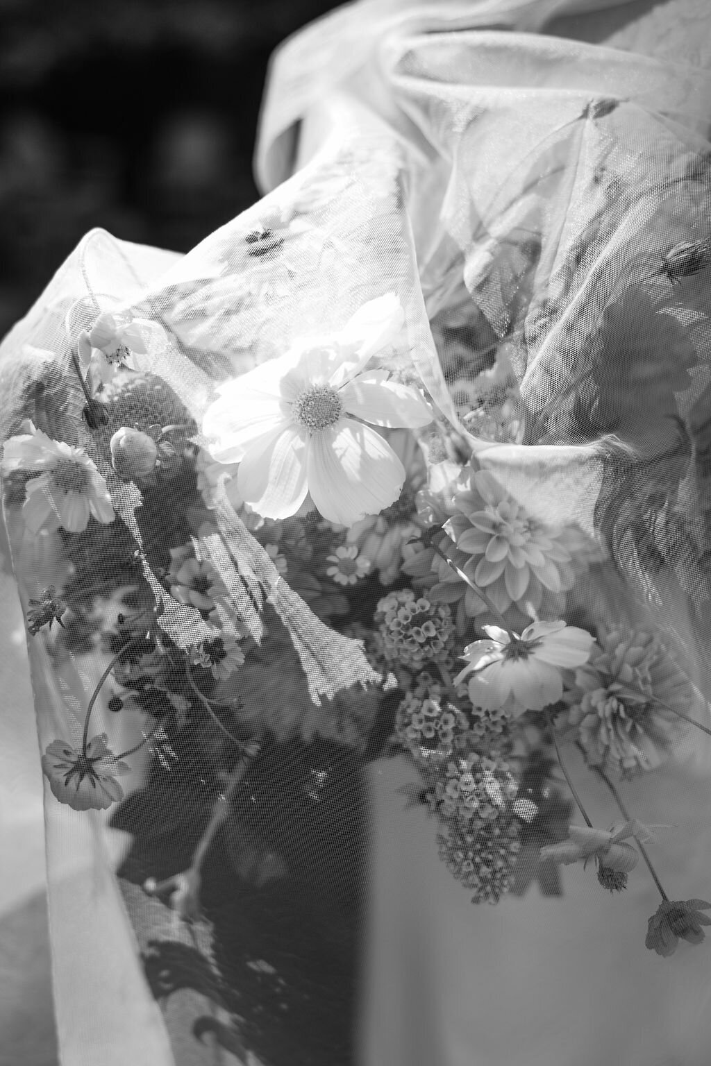 Emilieeleanorphotography-63034