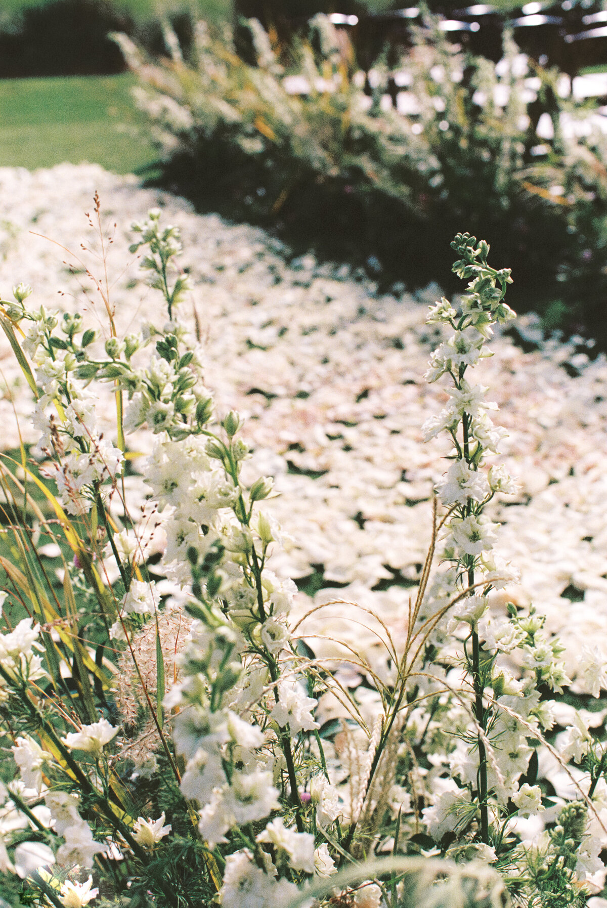 2309-marisa-andrew-kiawah-wedding-ocean-course-charleston-310