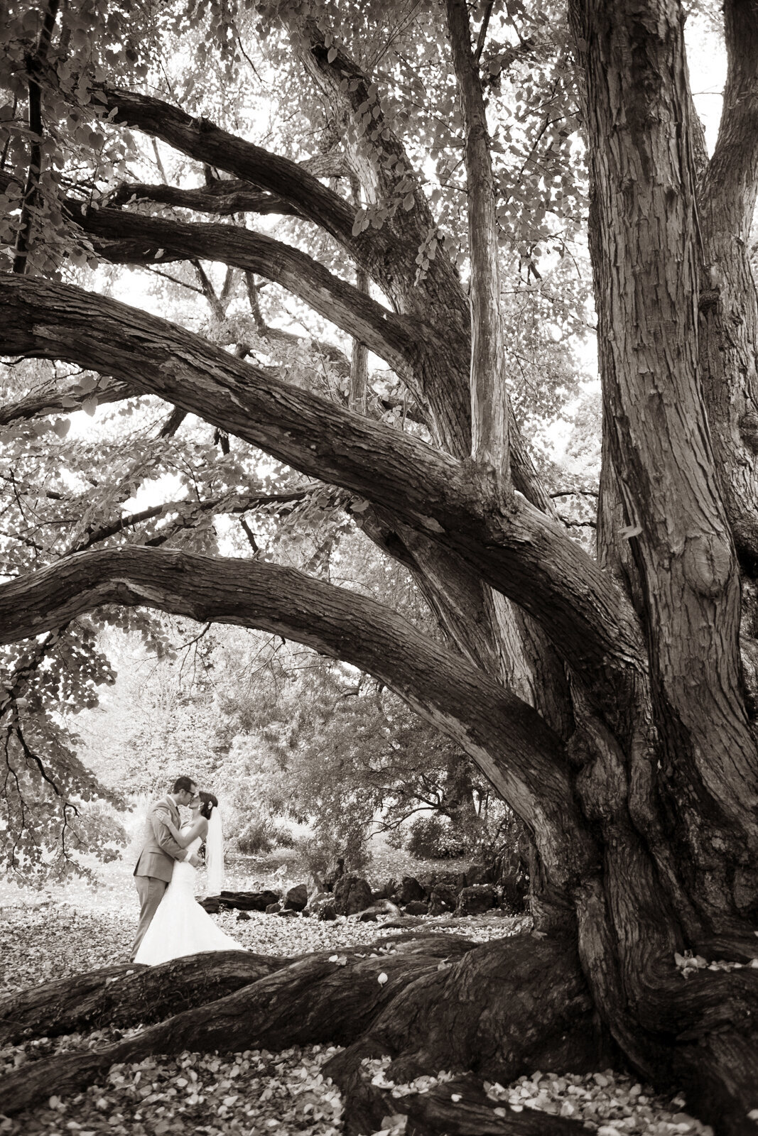 loudoun-studios-weddings00004