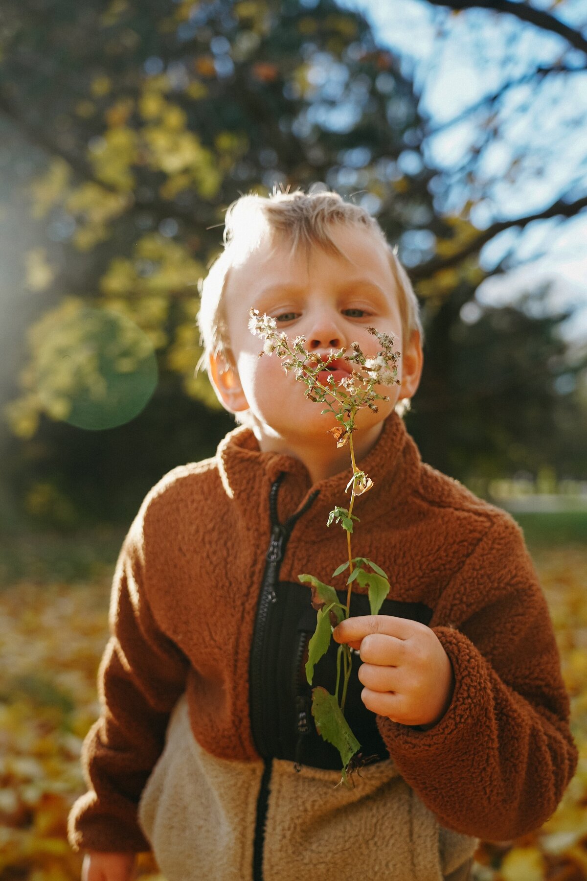 photosdefamilleparcmaisonneuvemontreal1