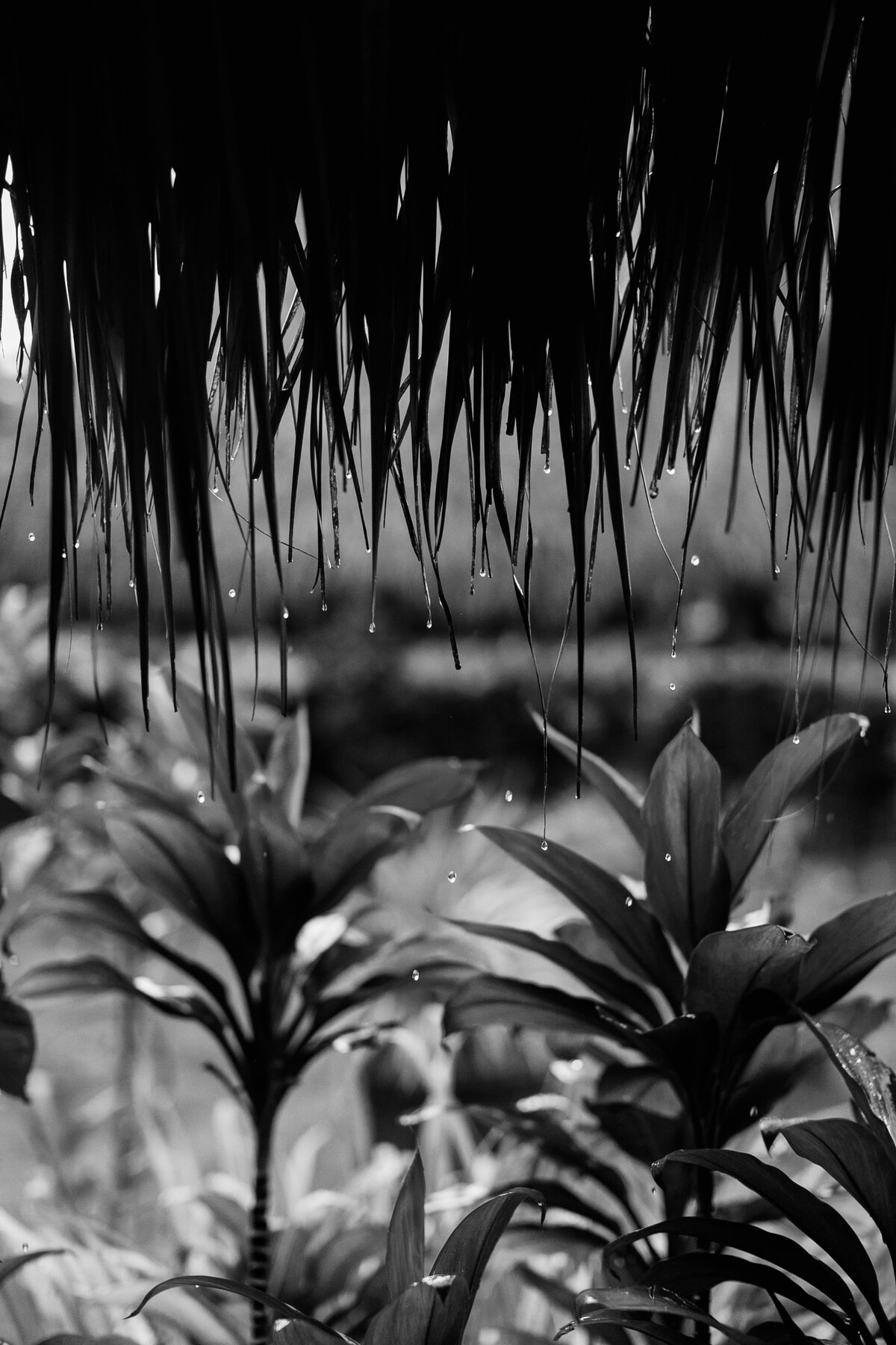 bz_0029